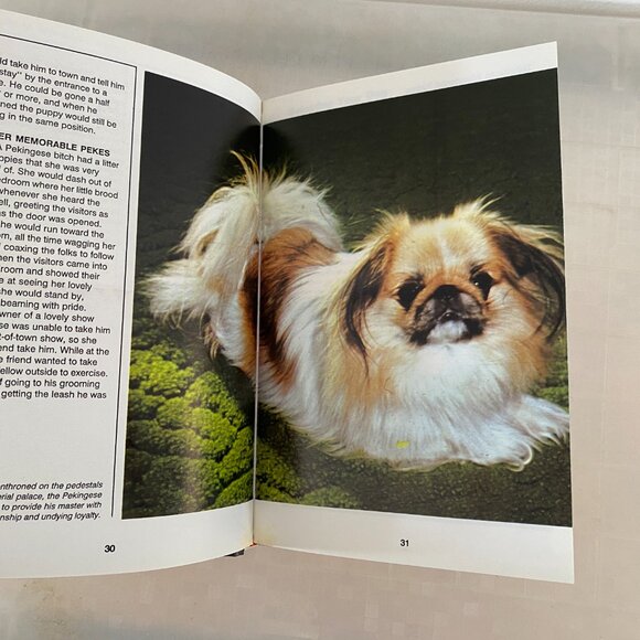 Pekingese Handbook - Picture 4 of 5